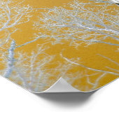 WinterAspen Trees - Goldener Himmel Poster (Ecke)