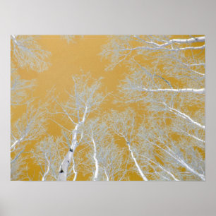 WinterAspen Trees - Goldener Himmel Poster