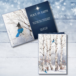 Winteraspens mit Steller Blue Jay Weihnachtskarte Feiertagskarte