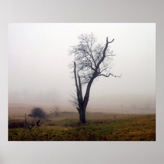 Winterbaum auf der Foggy Meadow #2 Poster (Vorne)