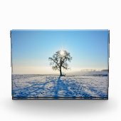 Winterbaum bei Sonnenaufgang - - Fotoblock (Vorderseite)