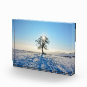 Winterbaum bei Sonnenaufgang - - Fotoblock (Rechts)