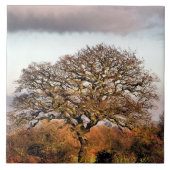 WINTERBAUM FLIESE (Vorderseite)
