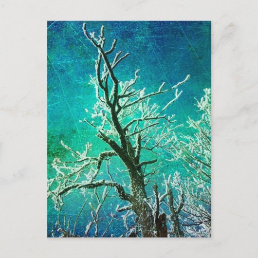 Winterbaum gefroren postkarte (Vorderseite)