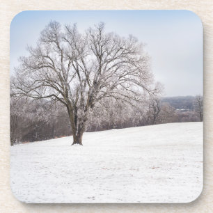 Winterbaum Getränkeuntersetzer