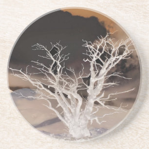 WINTERBAUM GETRÄNKEUNTERSETZER