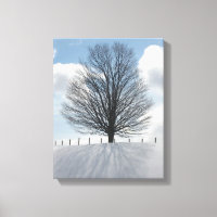 Winterbaum im Michigan Foto Leinwand