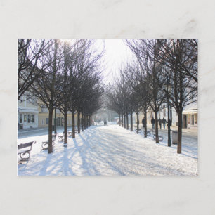 Winterbaum in Prag (Tschechische Republik) Postkarte