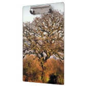 WINTERBAUM KLEMMBRETT (Links)