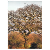 WINTERBAUM KLEMMBRETT (Rückseite)