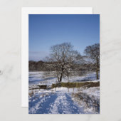 Winterbaum Lyme Park Ferienkarte Feiertagskarte (Vorne/Hinten)