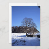 Winterbaum Lyme Park Ferienkarte Feiertagskarte (Vorne/Hinten)