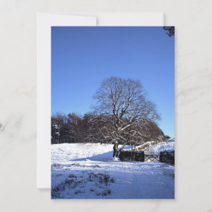 Winterbaum Lyme Park Ferienkarte Feiertagskarte