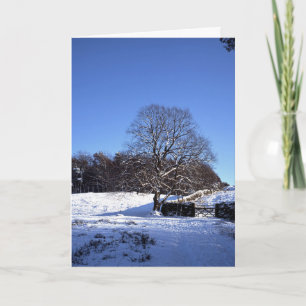 Winterbaum Lyme Park Ferienkarte Karte