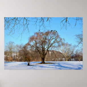 Winterbaum mit Vögeln Poster