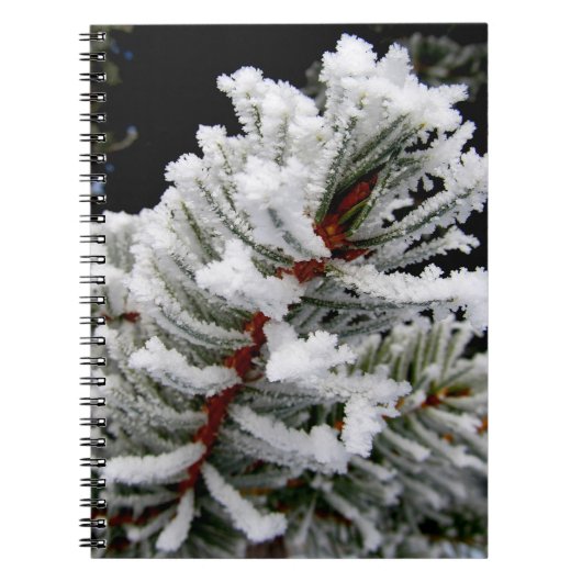 Winterbaum-Notebook Notizblock (Vorderseite)