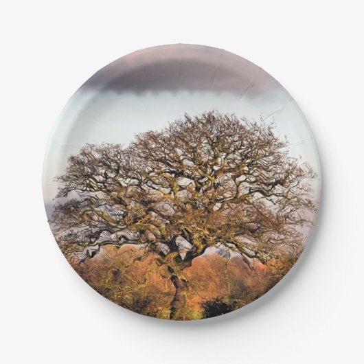 WINTERBAUM PAPPTELLER (Vorderseite)