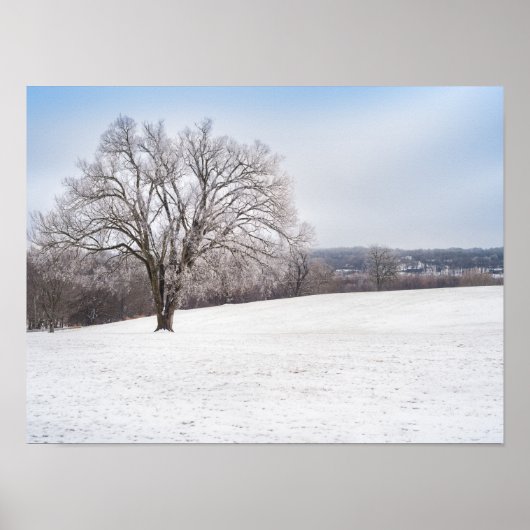 Winterbaum Poster (Vorne)