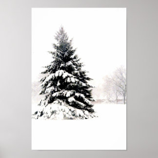 Winterbaum Poster
