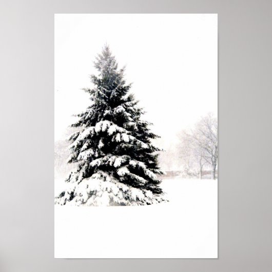 Winterbaum Poster (Vorne)
