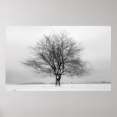 Winterbaum Poster (Vorne)