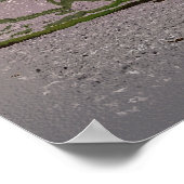 WINTERBAUM POSTER (Ecke)