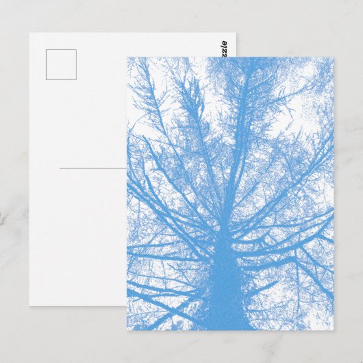 WINTERBAUM POSTKARTE (Vorne/Hinten)
