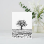 Winterbaum Postkarte (Stehend Vorderseite)
