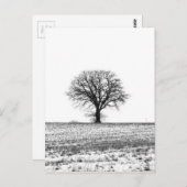 Winterbaum Postkarte (Vorne/Hinten)