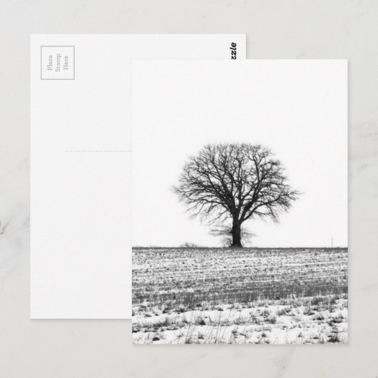 Winterbaum Postkarte (Vorne/Hinten)