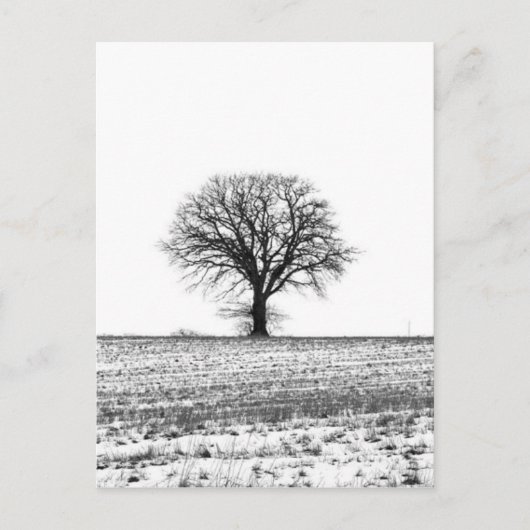 Winterbaum Postkarte (Vorderseite)