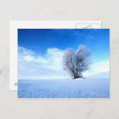 Winterbaum Postkarte (Vorne/Hinten)