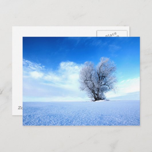 Winterbaum Postkarte (Vorne/Hinten)