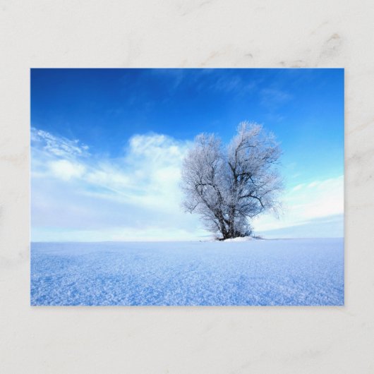 Winterbaum Postkarte (Vorderseite)