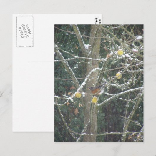 Winterbaum Postkarte (Vorne/Hinten)