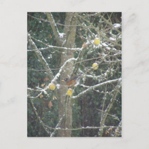Winterbaum Postkarte