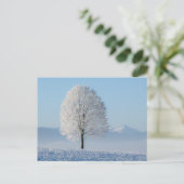Winterbaum Postkarte (Stehend Vorderseite)