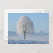 Winterbaum Postkarte (Vorne/Hinten)