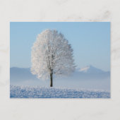 Winterbaum Postkarte (Vorderseite)