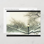 Winterbaum Postkarte (Vorne/Hinten)