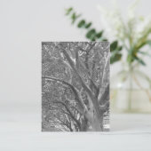 Winterbaum Postkarte (Stehend Vorderseite)