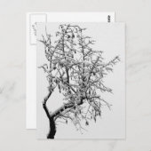 Winterbaum-Postkarte Postkarte (Vorne/Hinten)