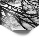 Winterbaum Reflektion im Zentralpark Fotodruck (Ecke)