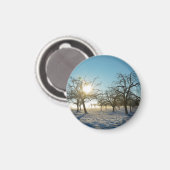 Winterbaum `s durch Sonnenaufgang - - Magnet (Vorderseite/Rückseite)
