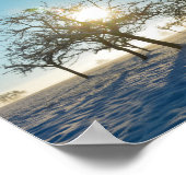 Winterbaum `s durch Sonnenaufgang - - Poster (Ecke)
