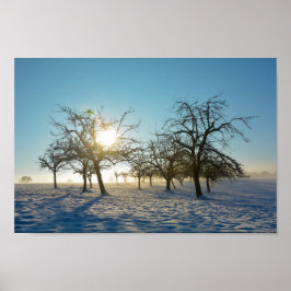 Winterbaum `s durch Sonnenaufgang - - Poster