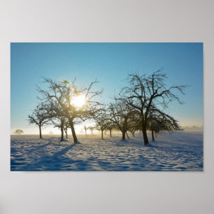 Winterbaum `s durch Sonnenaufgang - - Poster