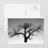 Winterbaum-Silhouette Postkarte (Vorne/Hinten)