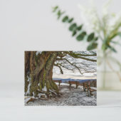 Winterbaum und Bänke Postkarte (Stehend Vorderseite)