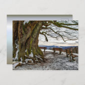 Winterbaum und Bänke Postkarte (Vorne/Hinten)
